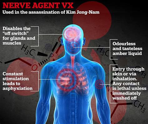 vx gas effects|effects of vx nerve gas.